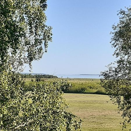 Tuule Villa Kuressaare Buitenkant foto