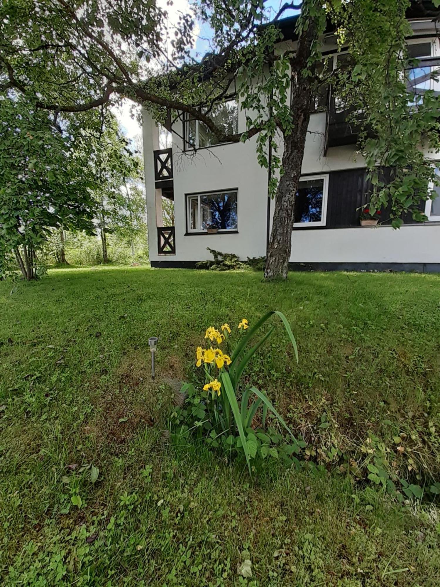 Tuule Villa Kuressaare Buitenkant foto